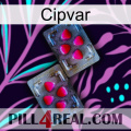 Cipvar 15